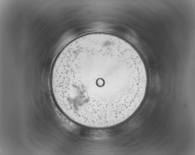 X0000080181338200612081351