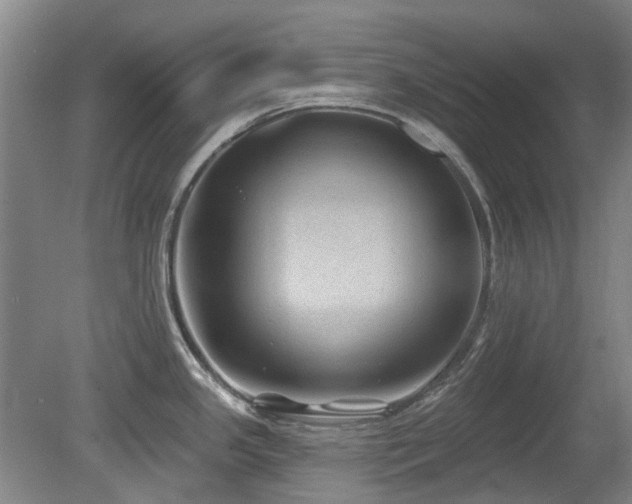 X0000080181341200612081351