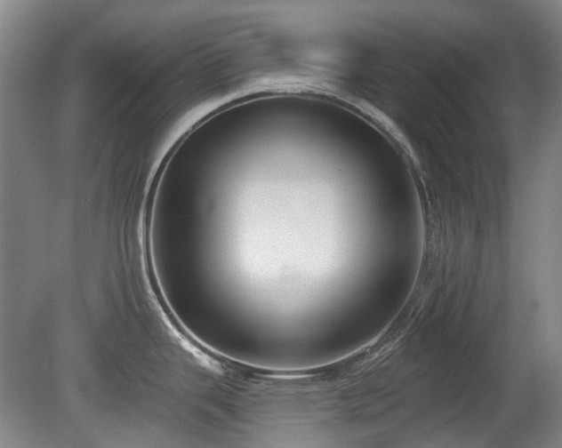 X0000080181343200612081351