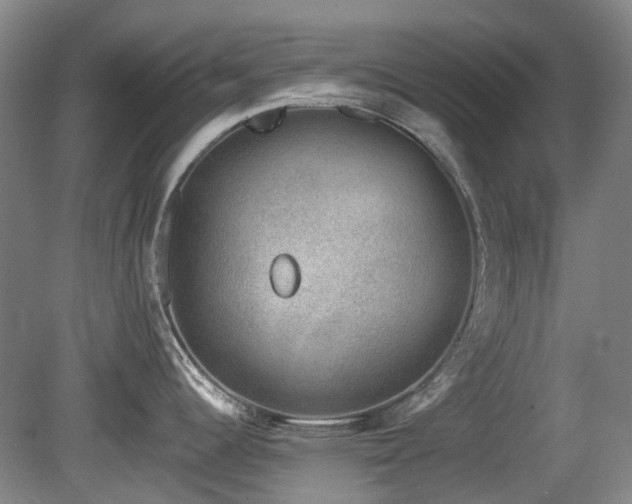 X0000080181344200612081351