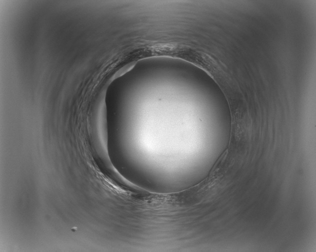 X0000080181345200612081350