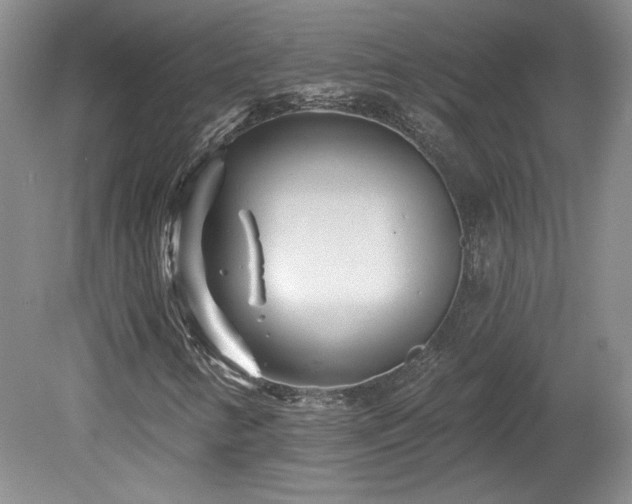 X0000080181346200612081350