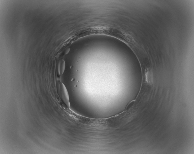 X0000080181347200612081350