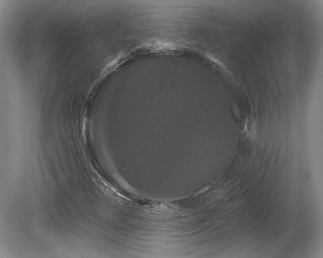 X0000080181348200612081350