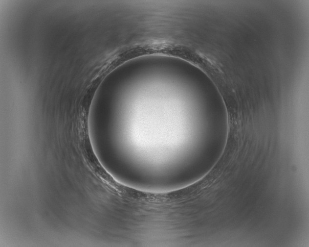 X0000080181349200612081350