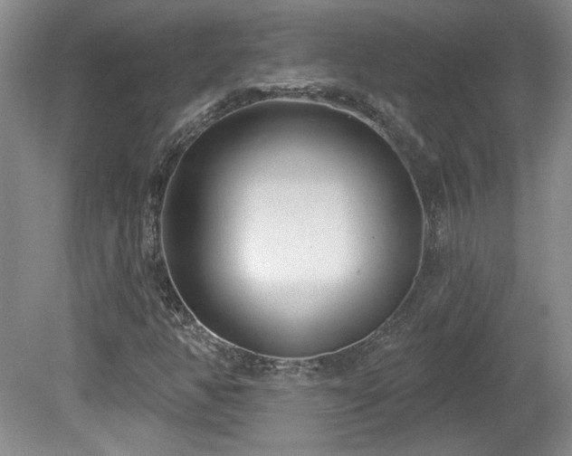 X0000080181350200612081350