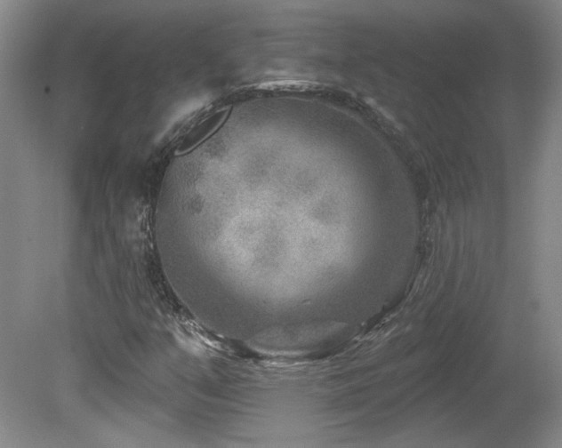 X0000080181351200612081350