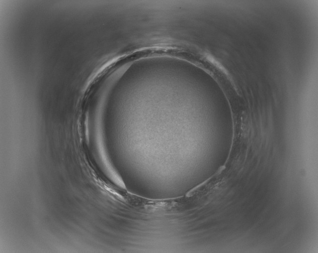 X0000080181352200612081350