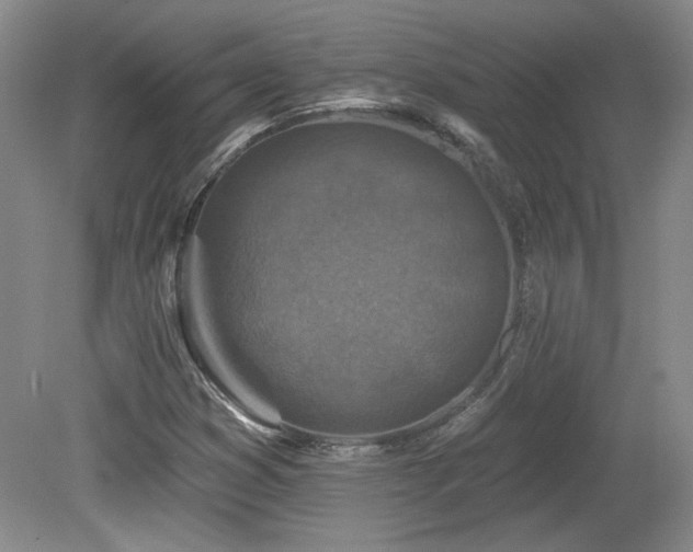 X0000080181353200612081350