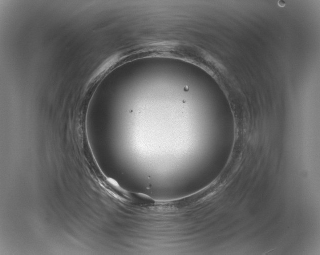 X0000080181354200612081350