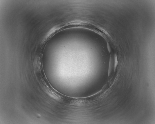 X0000080181355200612081350