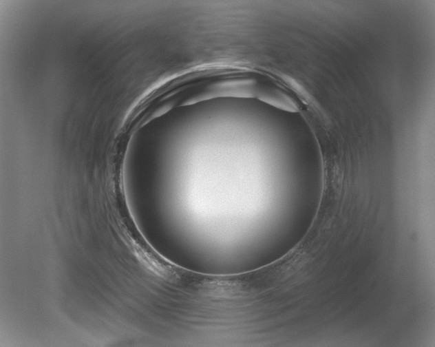 X0000080181356200612081350