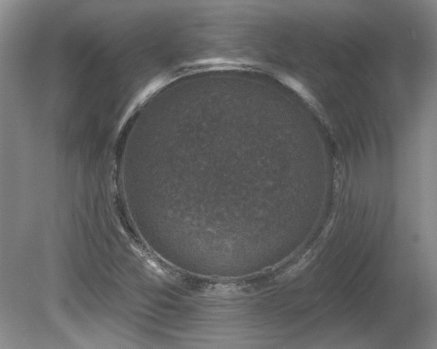 X0000080181357200612081350