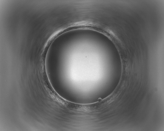 X0000080181358200612081350