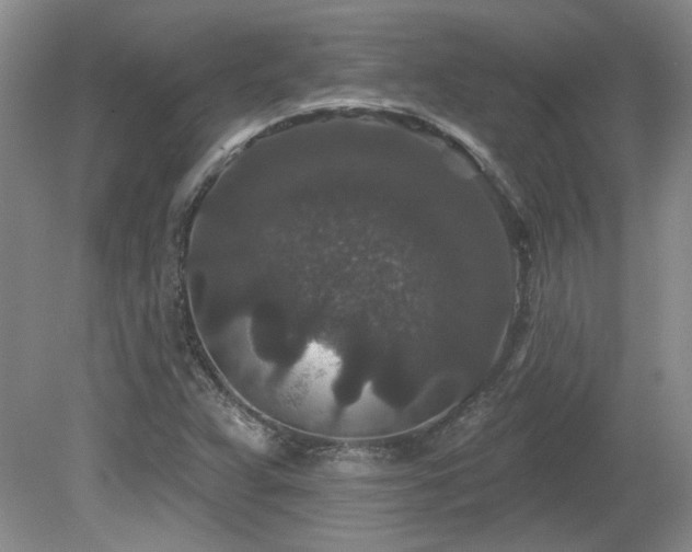 X0000080181359200612081350