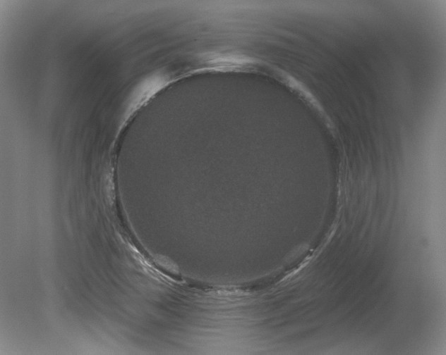 X0000080181362200612081350