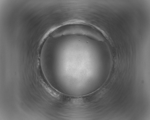 X0000080181363200612081350