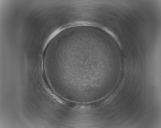 X0000080181365200612081350