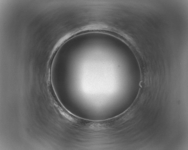 X0000080181366200612081350