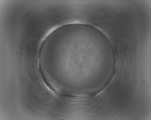 X0000080181367200612081350