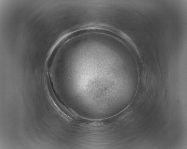 X0000080181368200612081350