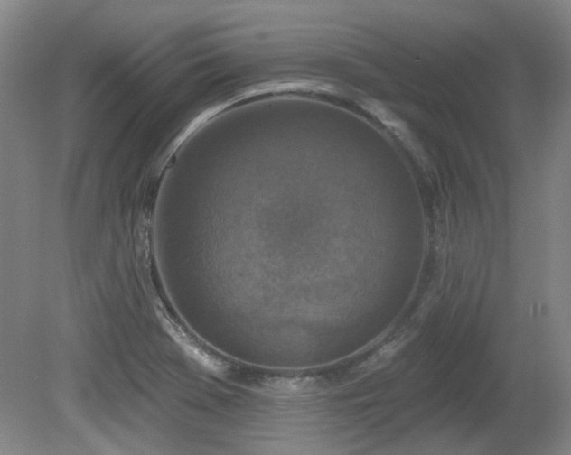 X0000080181369200612081350