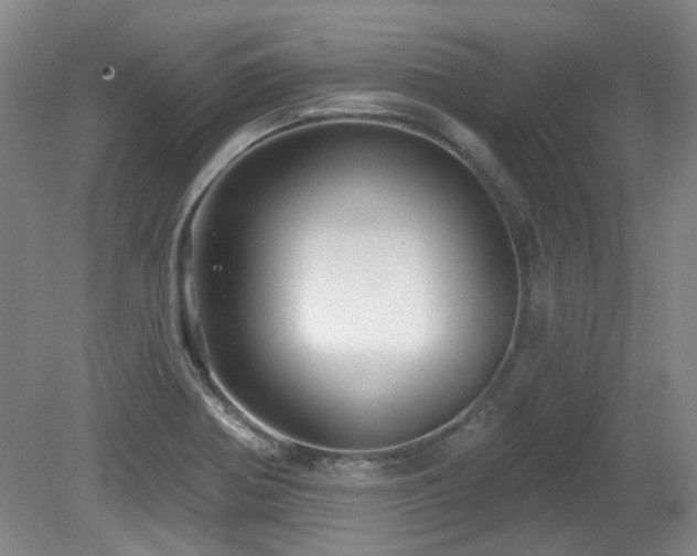 X0000080181370200612081350