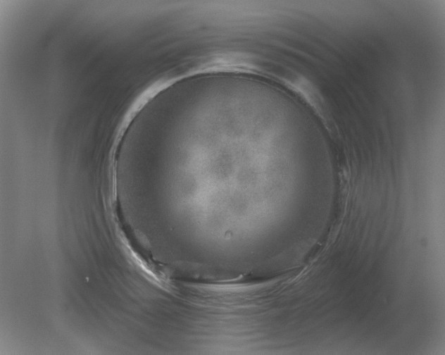 X0000080181371200612081350