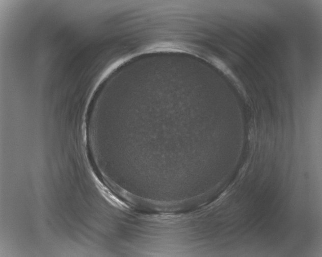 X0000080181372200612081350