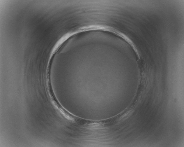 X0000080181373200612081350