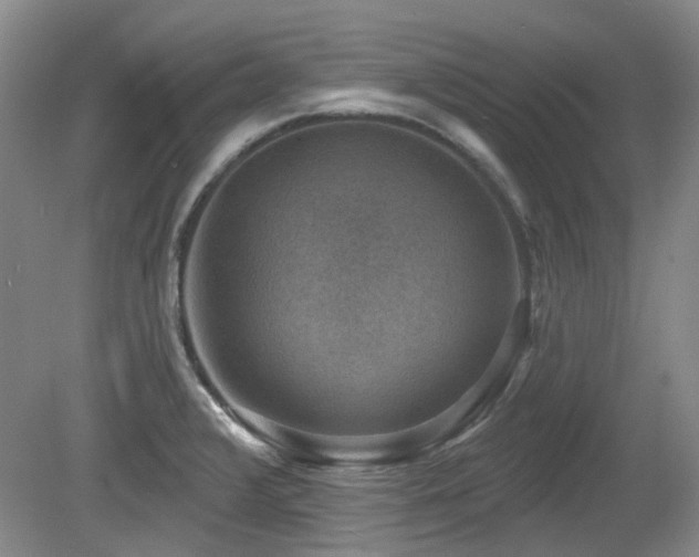 X0000080181376200612081350