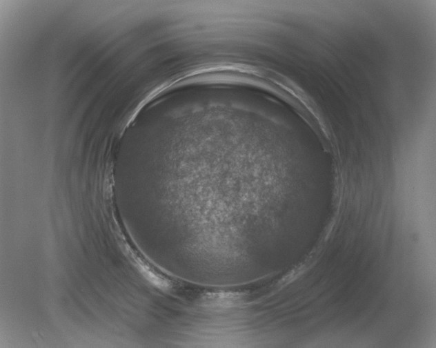 X0000080181377200612081350