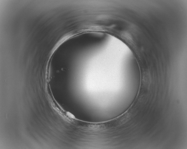 X0000080181378200612081350