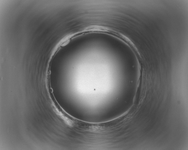 X0000080181379200612081350