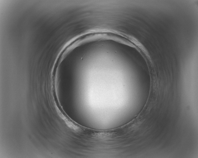 X0000080181380200612081350