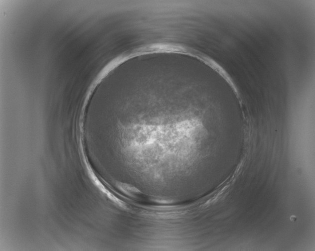 X0000080181381200612081350