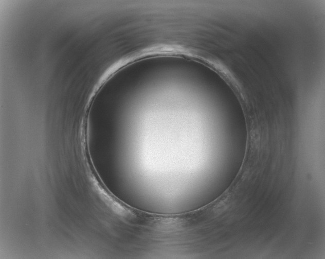 X0000080181382200612081350