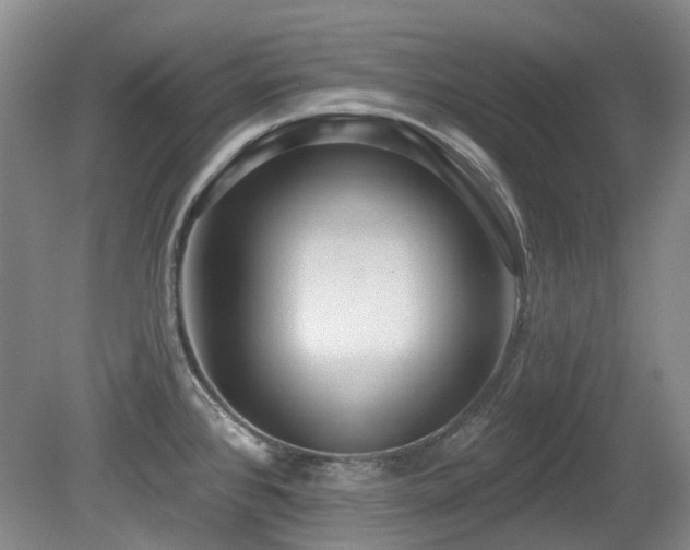 X0000080181384200612081350