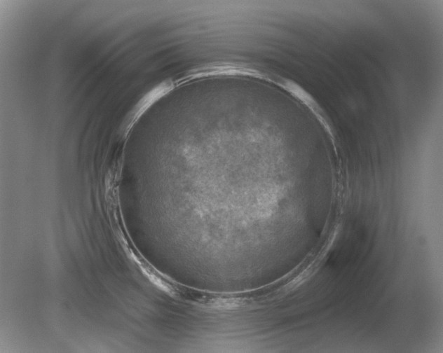 X0000080181385200612081350