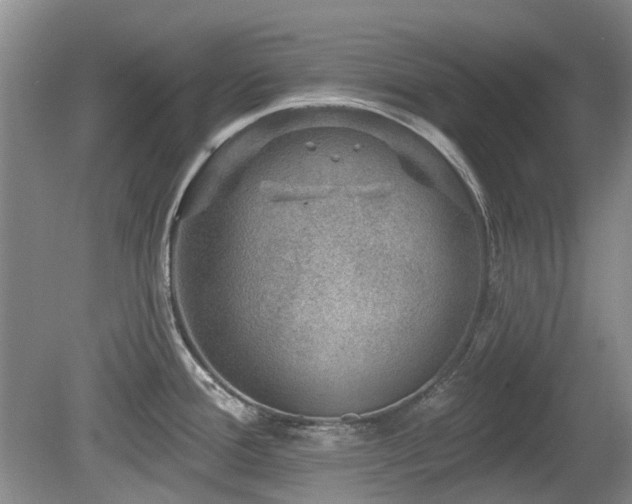 X0000080181388200612081350