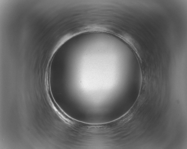 X0000080181391200612081350