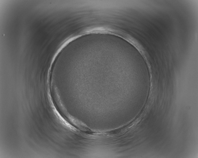 X0000080181392200612081350