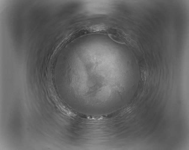 X0000080181393200612081349