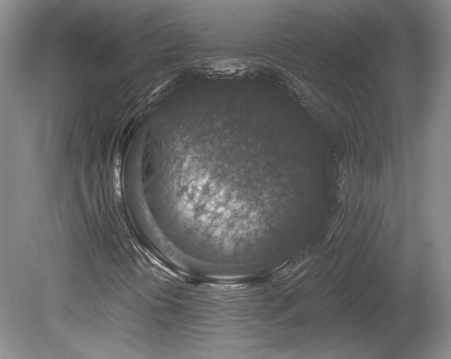 X0000080181394200612081349