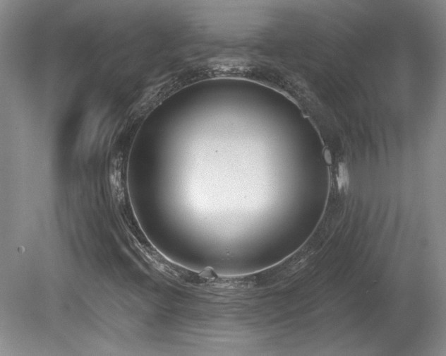 X0000080181396200612081349