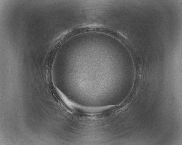 X0000080181398200612081349