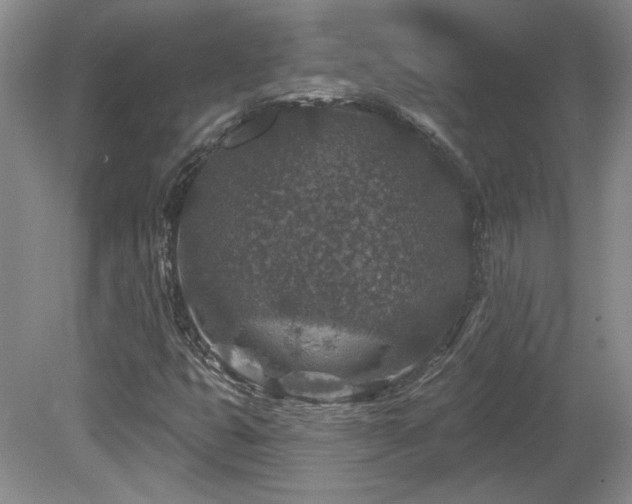 X0000080181399200612081349