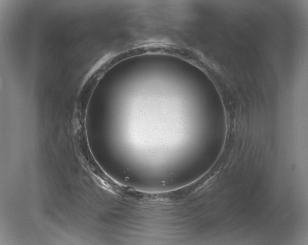 X0000080181400200612081349