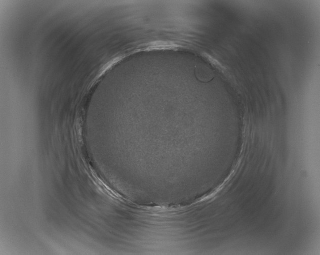 X0000080181401200612081349