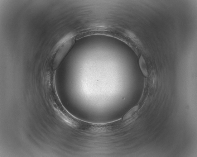 X0000080181402200612081349